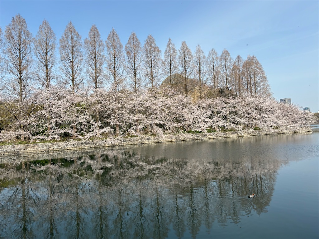 f:id:iechiko:20250426183737j:image