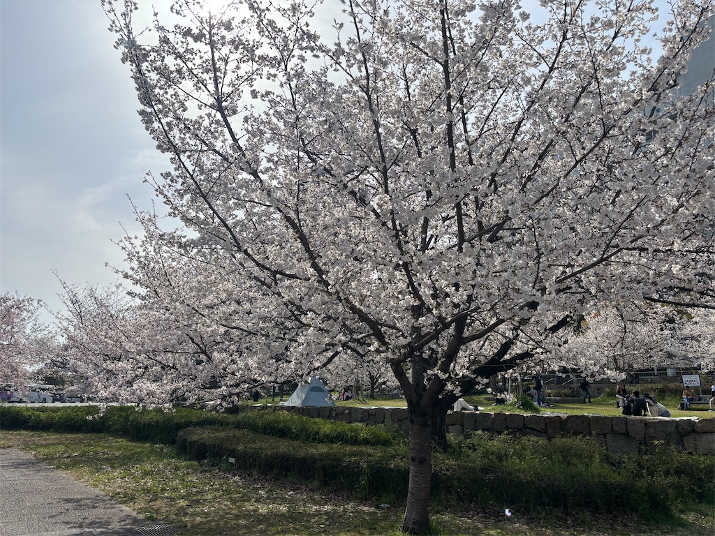 f:id:iechiko:20250426183745j:image