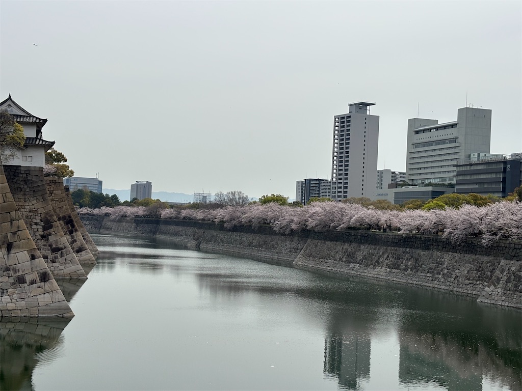 f:id:iechiko:20250426183749j:image