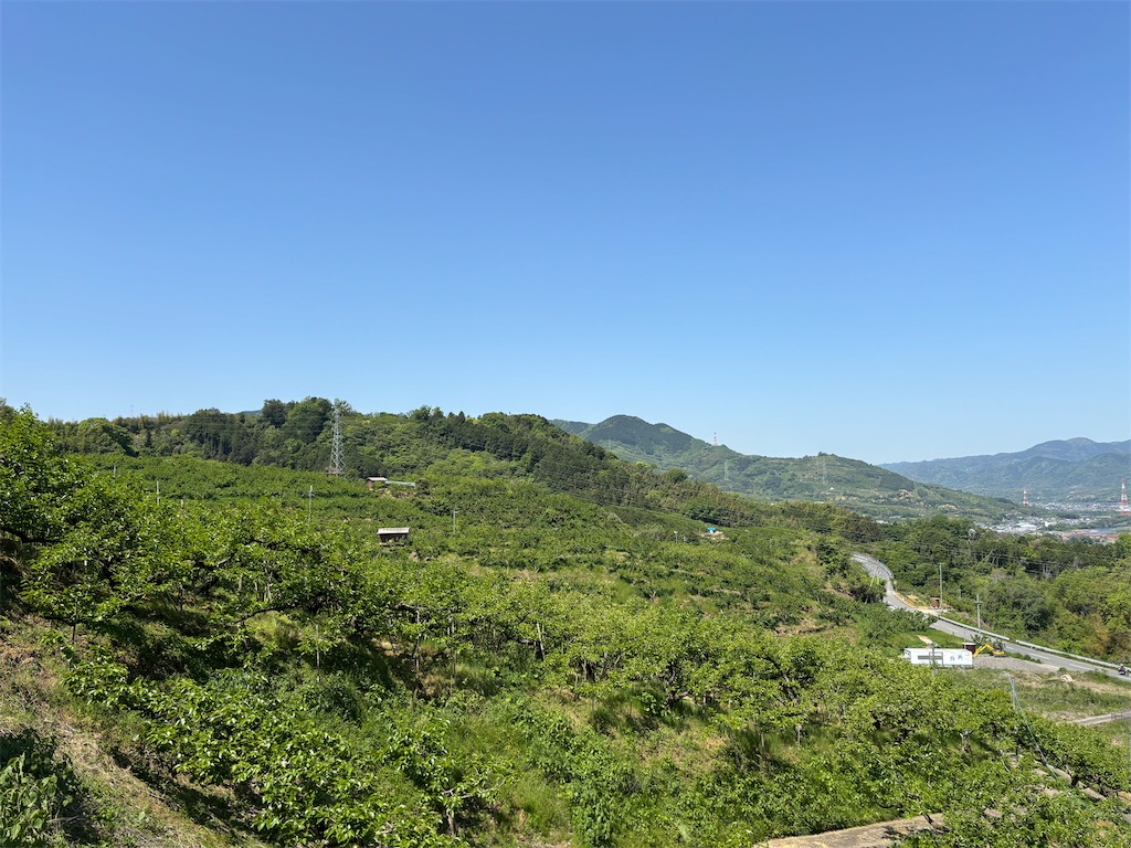f:id:iechiko:20250518104435j:image