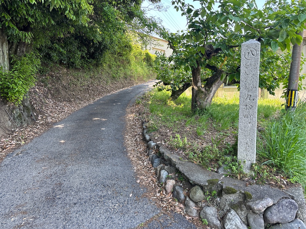 f:id:iechiko:20250518104442j:image