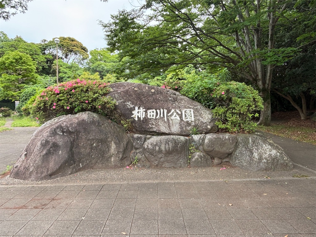 f:id:iechiko:20250529201711j:image