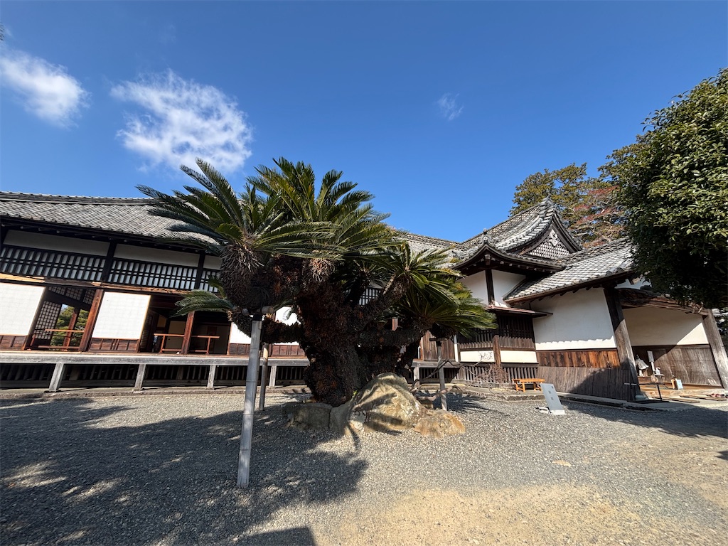 f:id:iechiko:20260121144743j:image