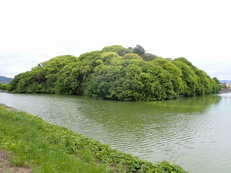 世界遺産】百舌鳥・古市古墳群 古市編① - えちこの旅ブログ