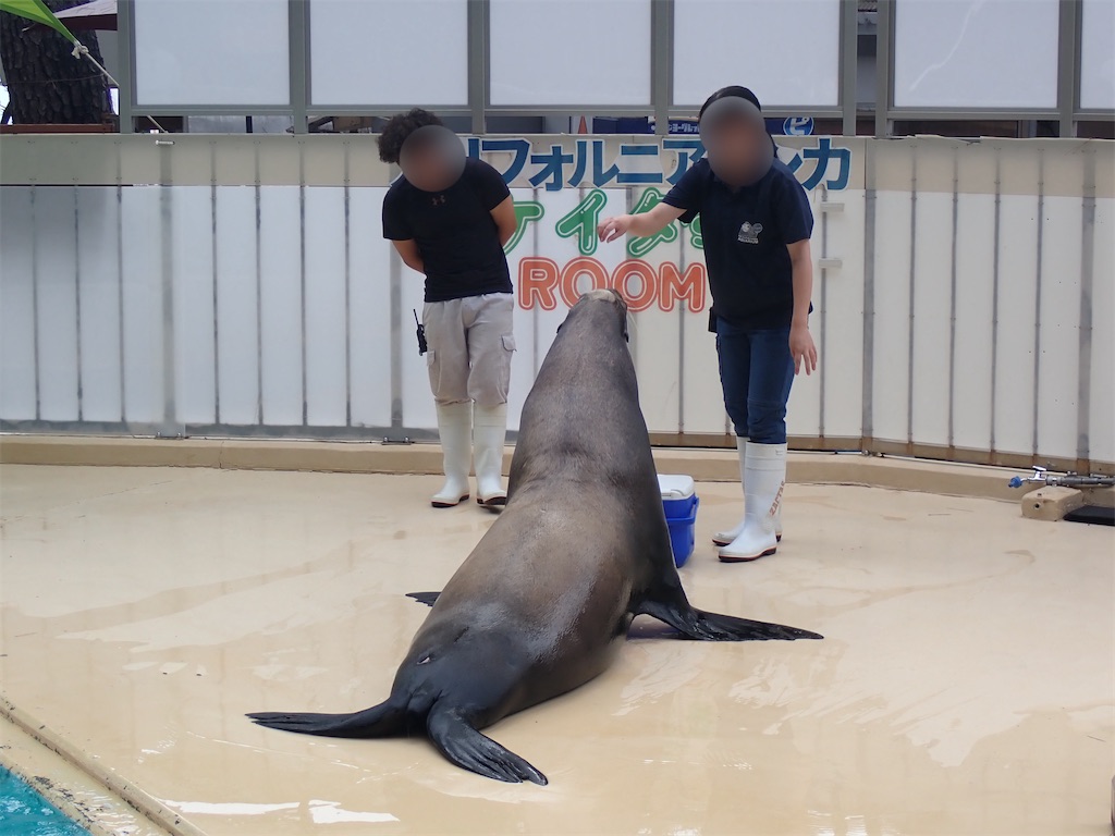 f:id:iechiko:20260903091737j:image f:id:iechiko:20260903091737j:image