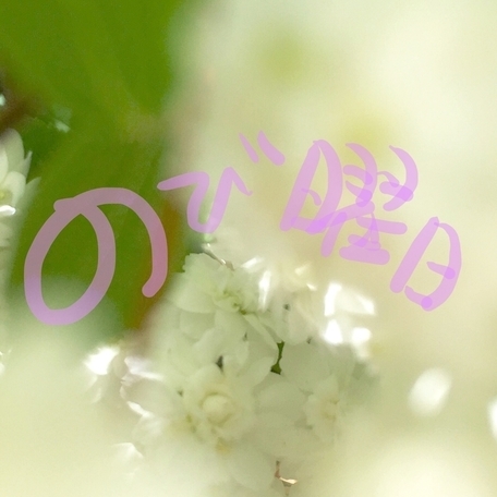 f:id:iedaidea:20200427072445j:plain f:id:iedaidea:20200427072445j:plain
