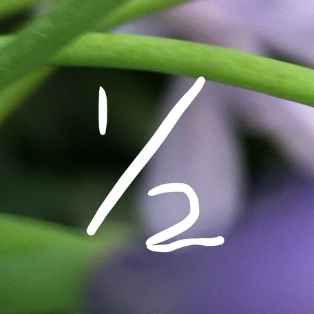 f:id:iedaidea:20200630192151j:plain f:id:iedaidea:20200630192151j:plain