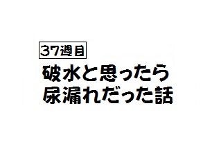 f:id:iegdgd:20190213093622j:plain f:id:iegdgd:20190213093622j:plain