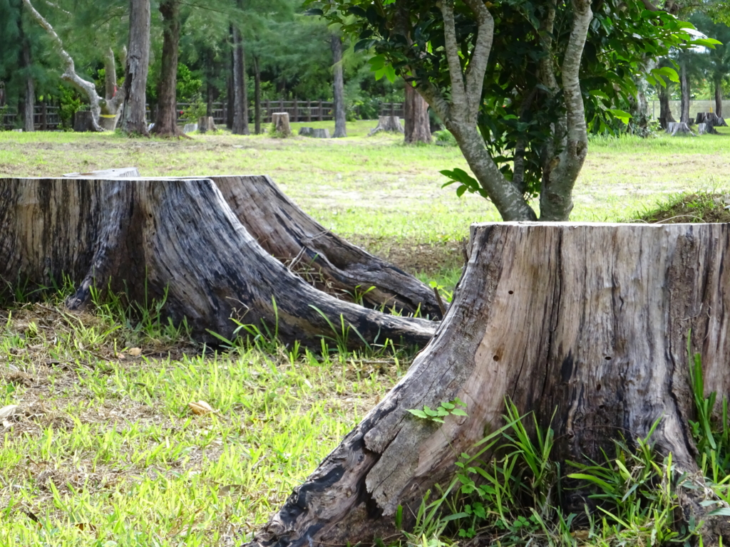 f:id:ieland:20161016151953j:plain