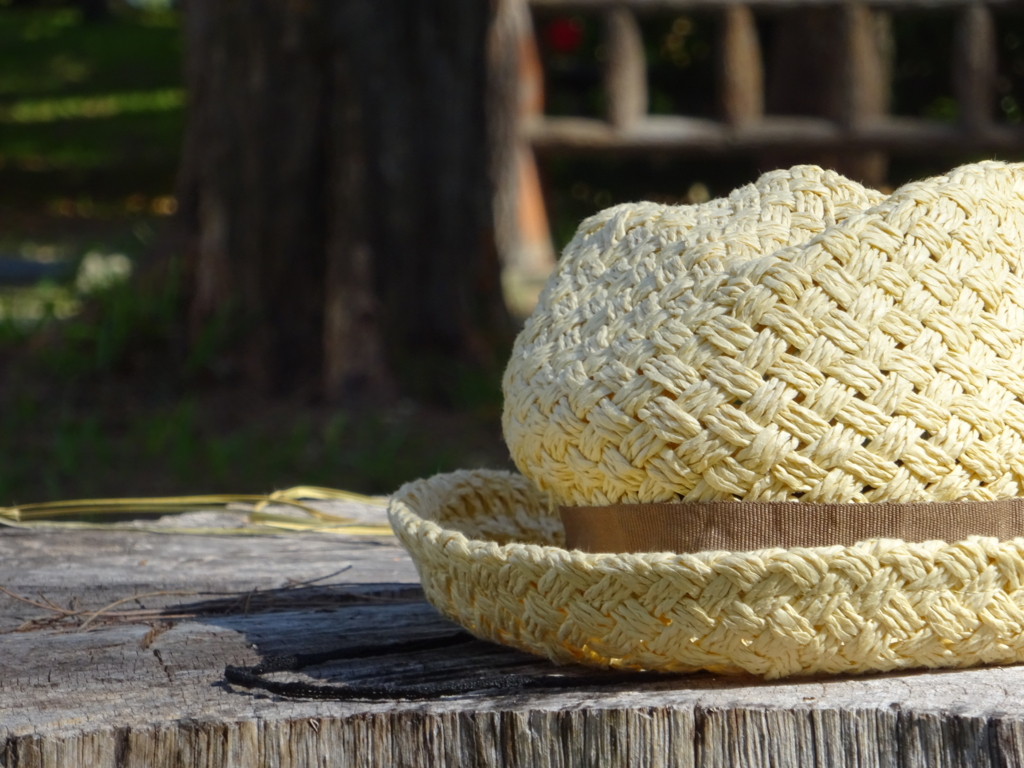 f:id:ieland:20161016153339j:plain