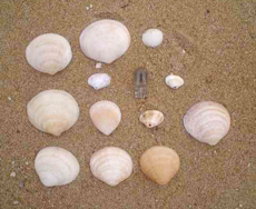 f:id:iengmwk:20101005204829j:image
