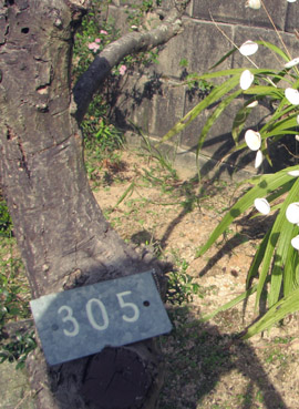 f:id:iengmwk:20101012102342j:image