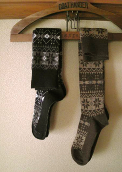 f:id:iengmwk:20101102161559j:image