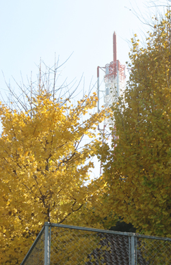 f:id:iengmwk:20101121130025j:image