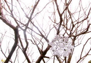 f:id:iengmwk:20101125154418j:image