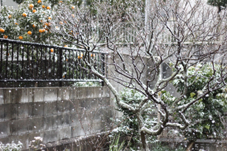 f:id:iengmwk:20110212144522j:image