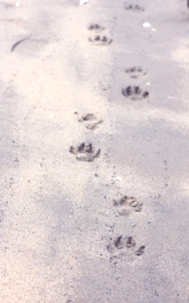 f:id:iengmwk:20110221110416j:image
