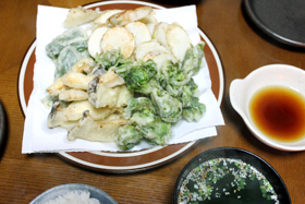 20110304171529