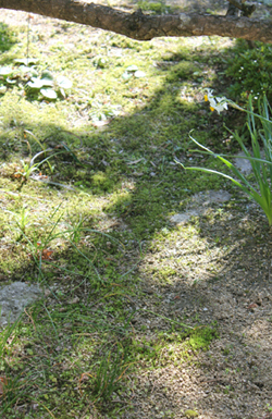 f:id:iengmwk:20110311150311j:image