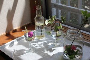 f:id:iengmwk:20110420150249j:image