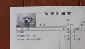 20110426174804