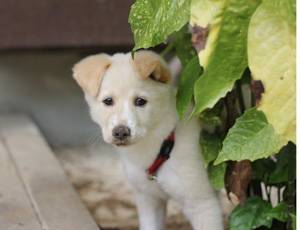 f:id:iengmwk:20110503152431j:image