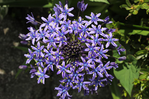 f:id:iengmwk:20110509140921j:image