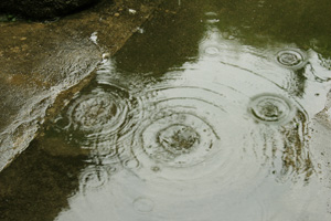 f:id:iengmwk:20110511134852j:image
