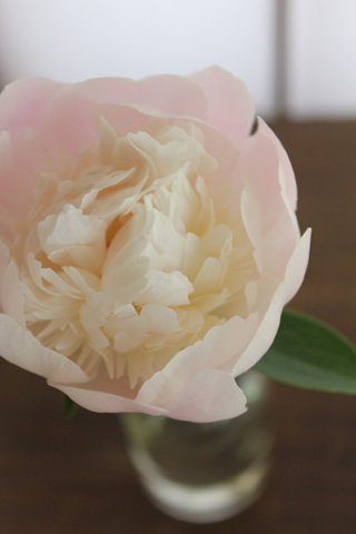 f:id:iengmwk:20110513151551j:image