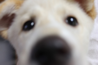 f:id:iengmwk:20110513151553j:image