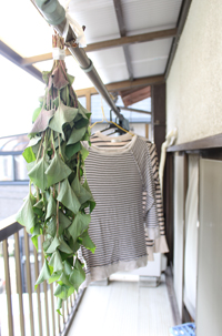 f:id:iengmwk:20110519163813j:image