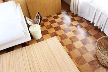 f:id:iengmwk:20110520094630j:image