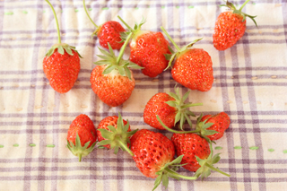 f:id:iengmwk:20110520121427j:image