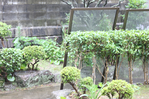 f:id:iengmwk:20110704143501j:image