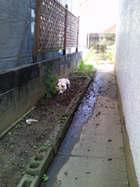 f:id:iengmwk:20110708111006j:image