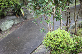 f:id:iengmwk:20110711180708j:image