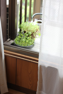 f:id:iengmwk:20110713095253j:image