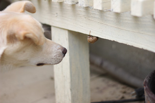 f:id:iengmwk:20110718103803j:image
