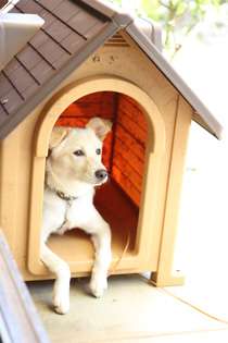 f:id:iengmwk:20110723164455j:image