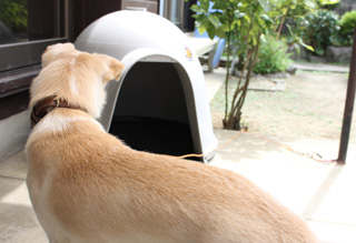 f:id:iengmwk:20110729132346j:image