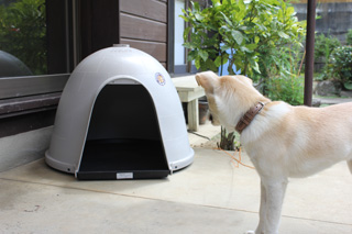 f:id:iengmwk:20110729132347j:image