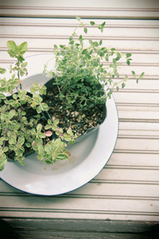 f:id:iengmwk:20110801151234j:image