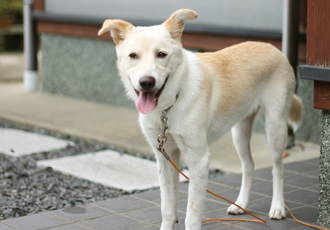 f:id:iengmwk:20110814155426j:image