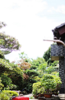 f:id:iengmwk:20110814155429j:image