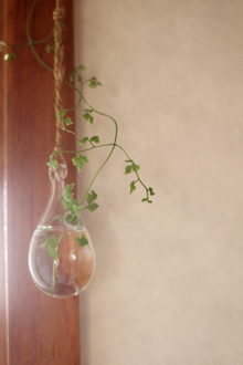 f:id:iengmwk:20110822154221j:image f:id:iengmwk:20110822154221j:image