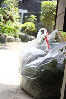 f:id:iengmwk:20110828134734j:image