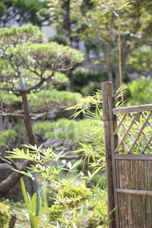f:id:iengmwk:20110831150023j:image