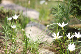 f:id:iengmwk:20110831150024j:image