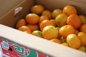 f:id:iengmwk:20110831150026j:image