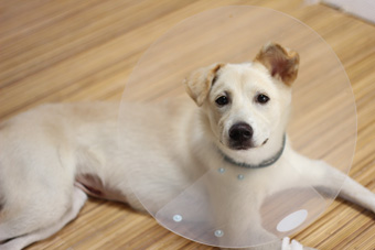 f:id:iengmwk:20110912164505j:image